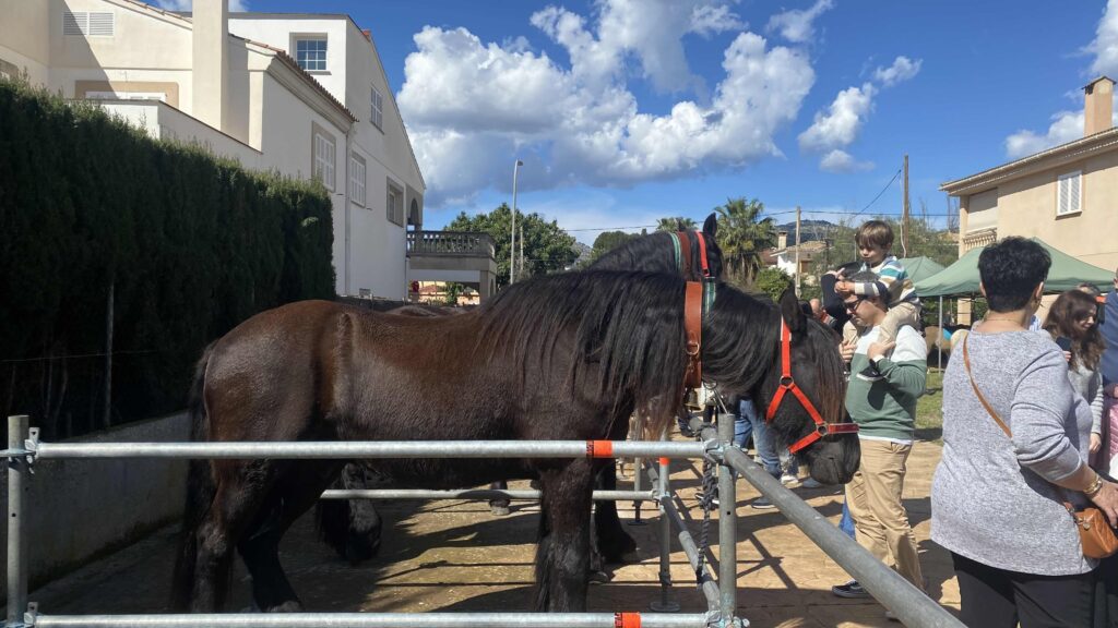 VIII Ярмарка лошадей и XIII Fira Bona