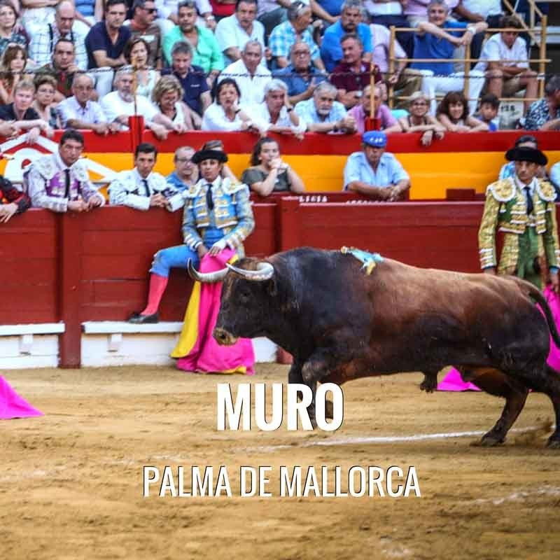 Corrida toros Muro